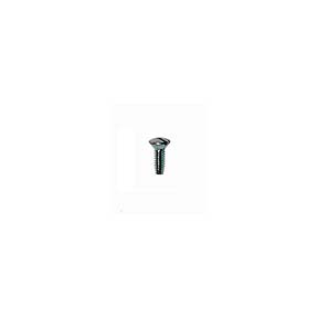 Fulcrum Arm Retaining Screw